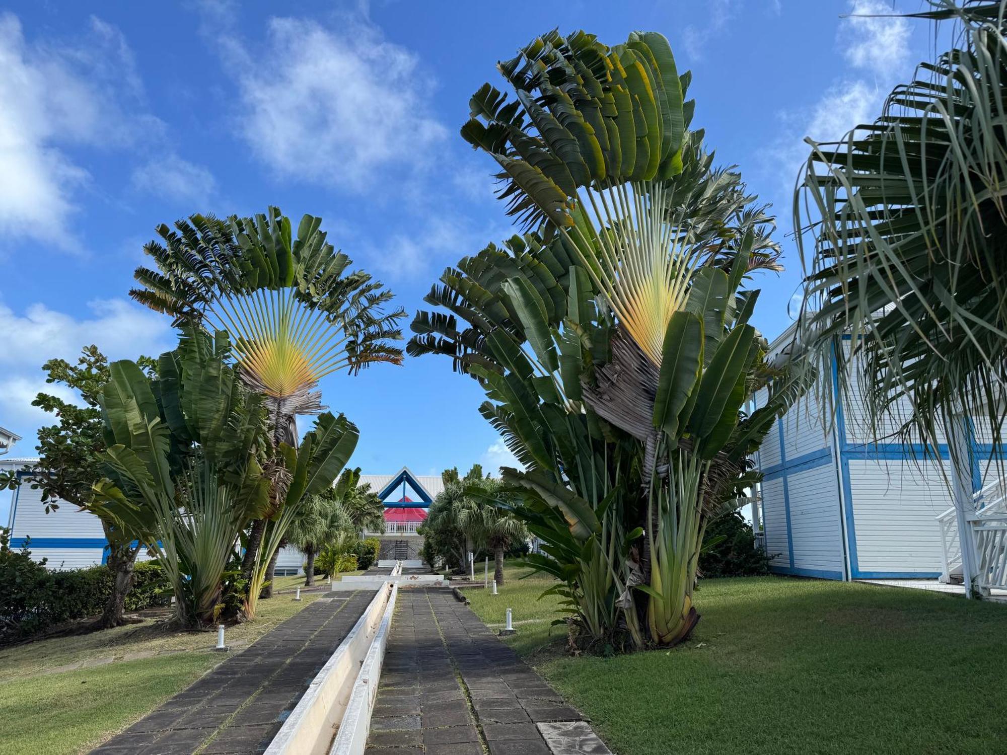Ticarbets T3 - Résidence Managano - En bord de Plage Saint-Francois  Exterior foto